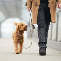 william-walker-twisted-leder-hundeleine-sand-beige image 7