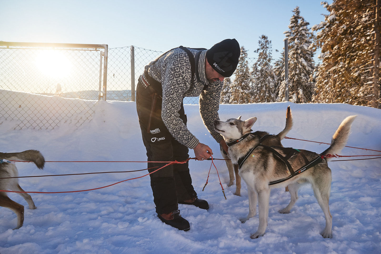 non-stop-dogwear-arctic-buksa-2-0-tr-gerhose-trekkinghose image 3