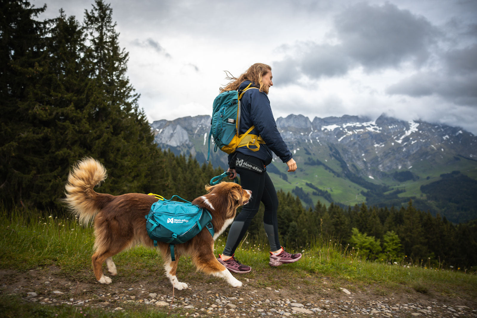 non-stop-dogwear-trail-quest-dog-backpack-hundrucksack-mit-y-geschirr-f-r-wander image 2