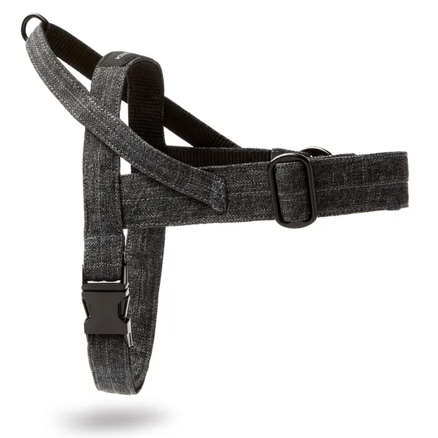 molly-and-stitch-soft-rock-hundegeschirr-grey image 1