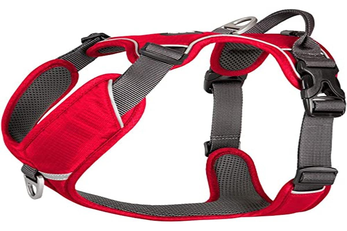 dog-copenhagen-comfort-walk-pro-harness-orange-sun-xs-v1-hundegeschirr image 6