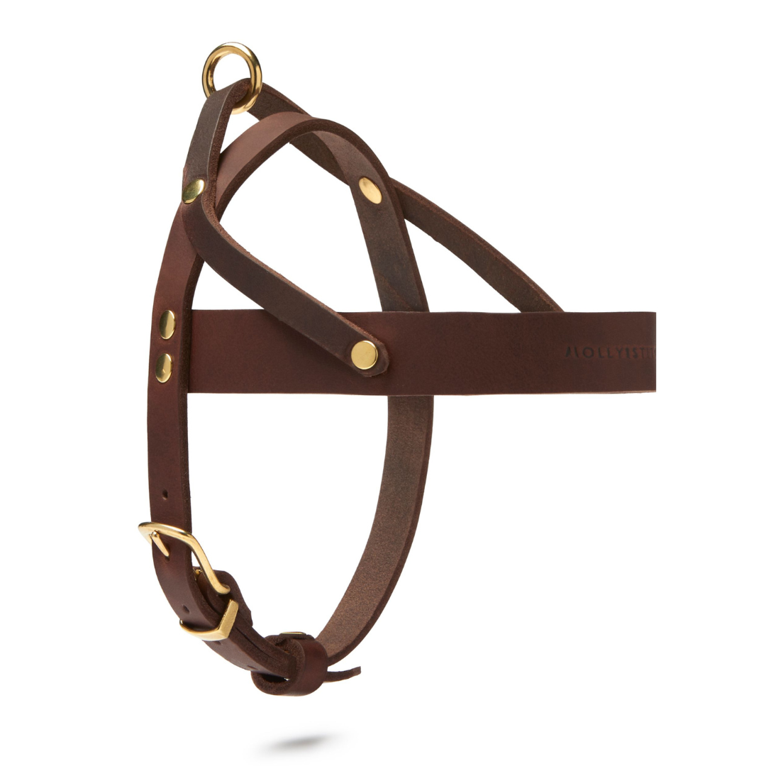 molly-and-stitch-butter-leather-hundegeschirr-classic-brown image 3