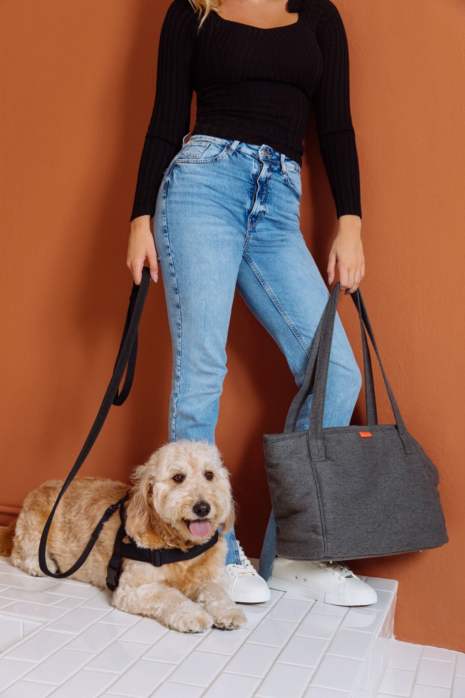 molly-and-stitch-alpine-dog-carrier-anthrazit-tragetasche-f-r-kleine-hunde image 6