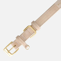 william-walker-wildleder-hundehalsband-almond-beige image 3