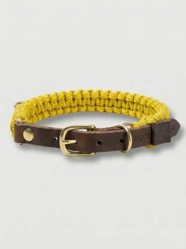 molly-and-stitch-touch-of-leather-hundehalsband-mediterranean-sun-limited-editio image 1
