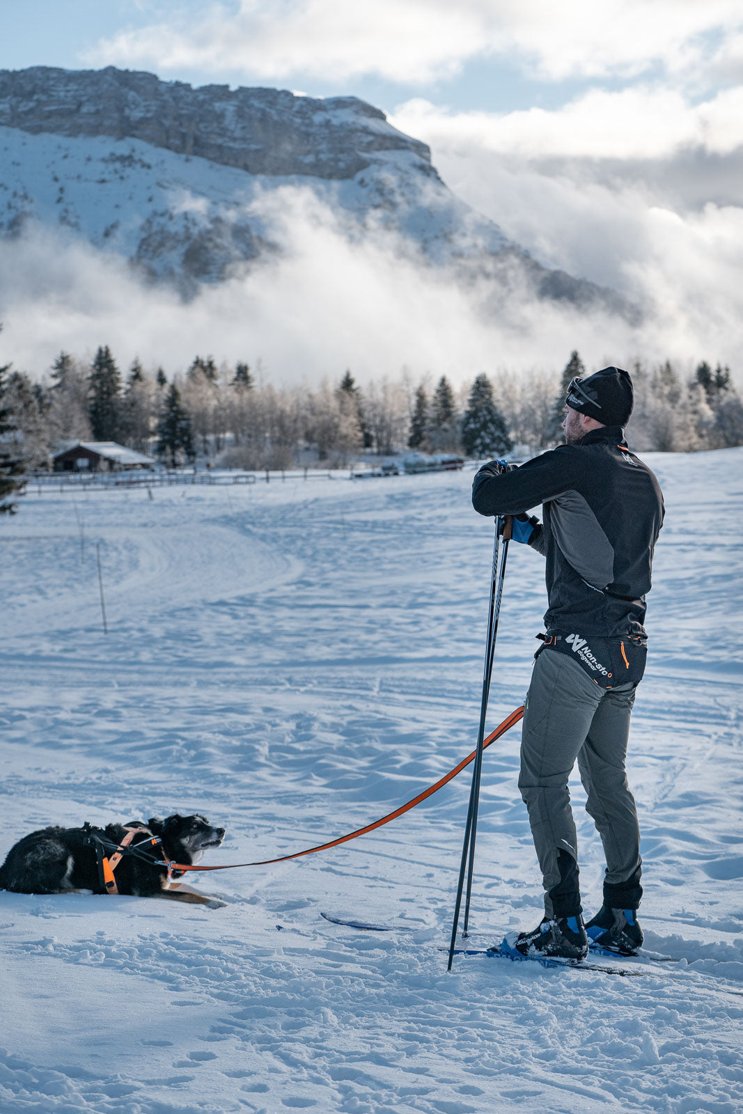 non-stop-dogwear-l-ype-belt-pro-leichtester-skij-ring-gurt-f-r-wettkampf-und-tra image 3