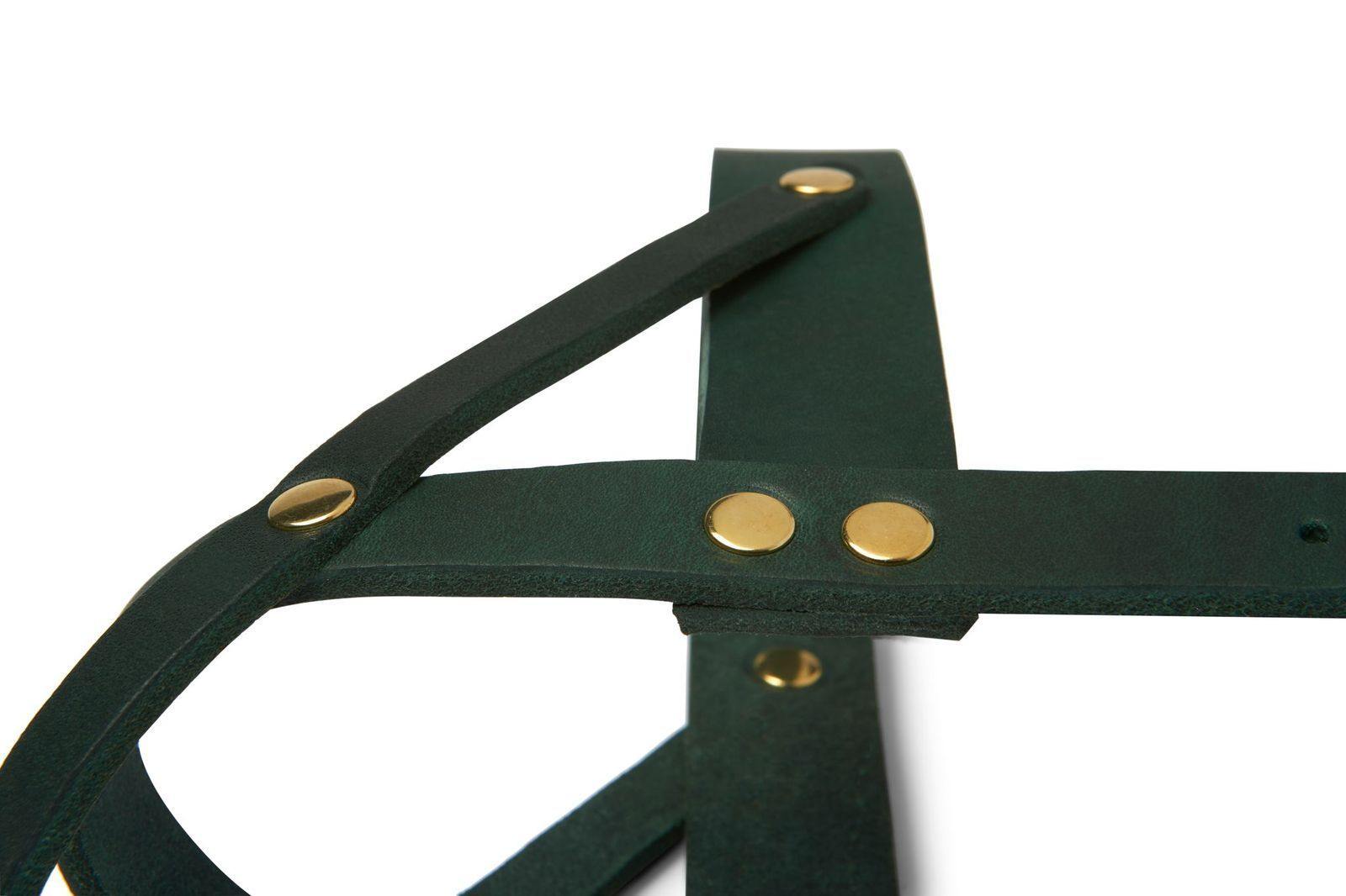 molly-and-stitch-butter-leather-hundegeschirr-forest-green image 5