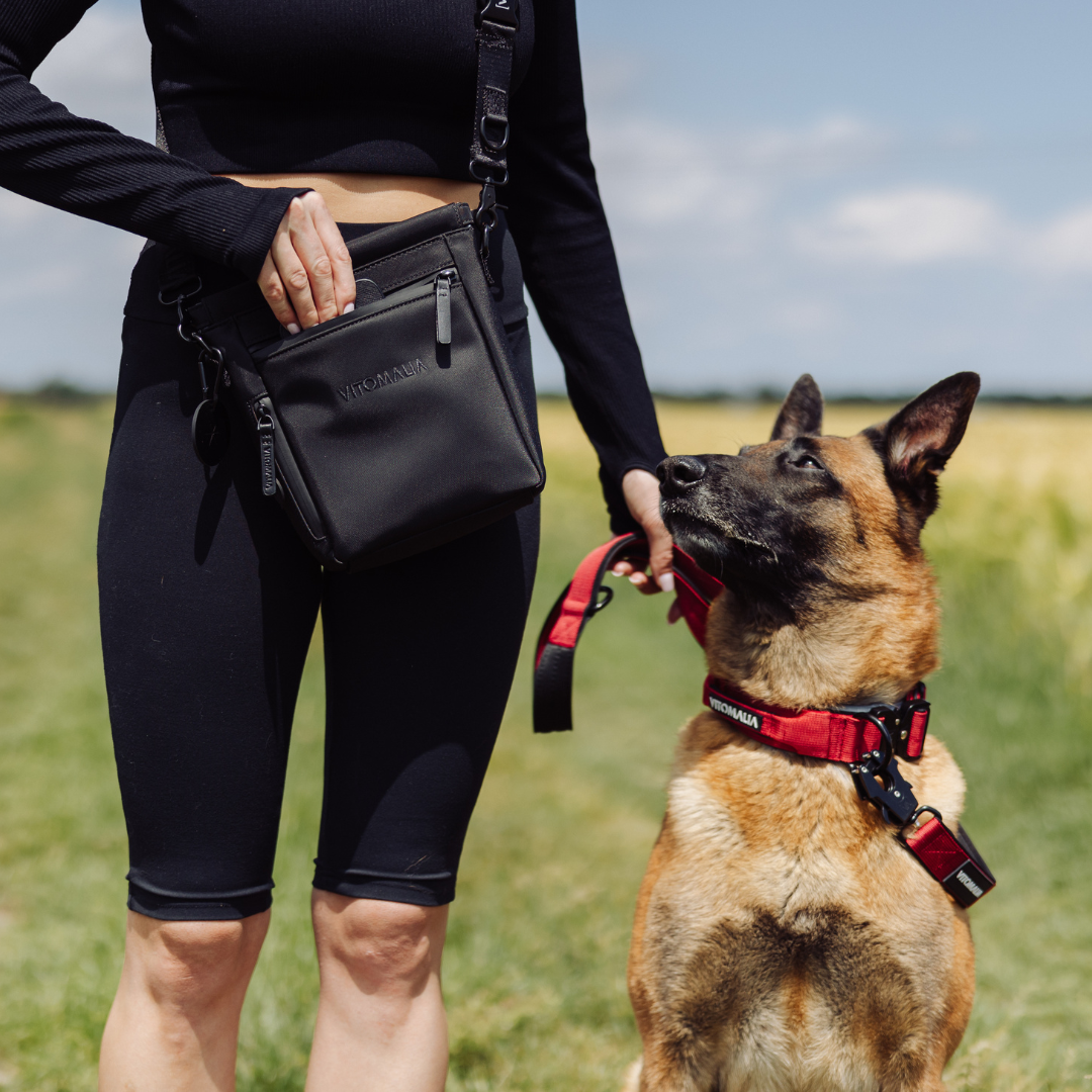 vitomalia-extreme-edition-hundehalsband-bordeaux-sicherheitsverschluss-magnet-ha image 3