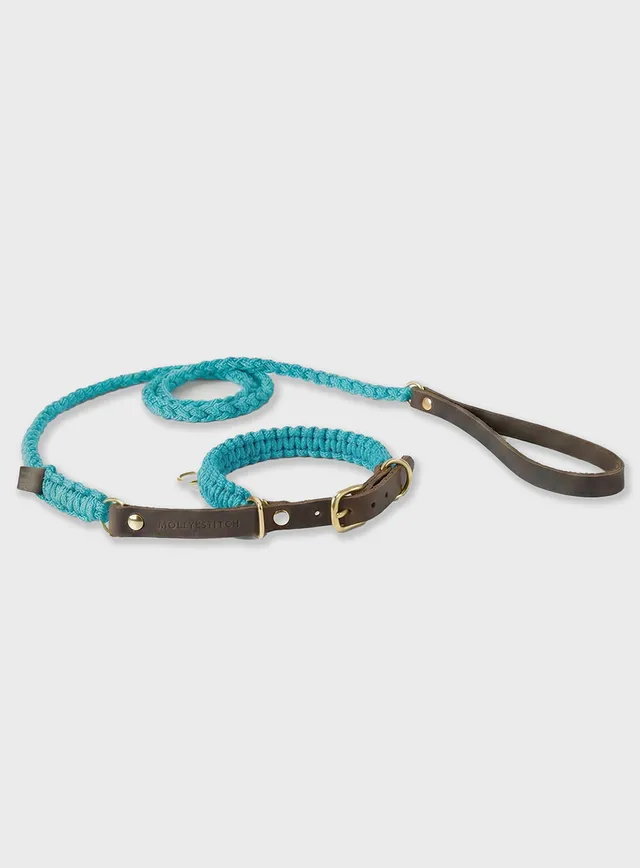 molly-and-stitch-touch-of-leather-retriever-hundeleine-santorini-limited-edition image 1