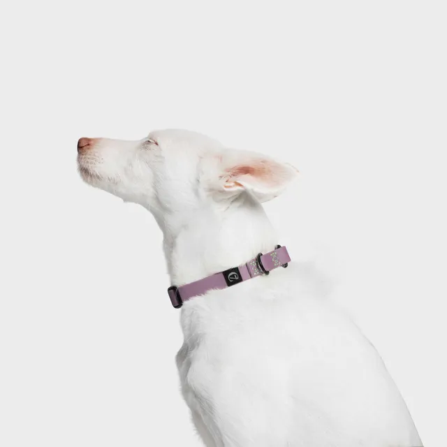 cloud7-ipanema-halsband-biothane-lilac-wasserfestes-hundehalsband image 1