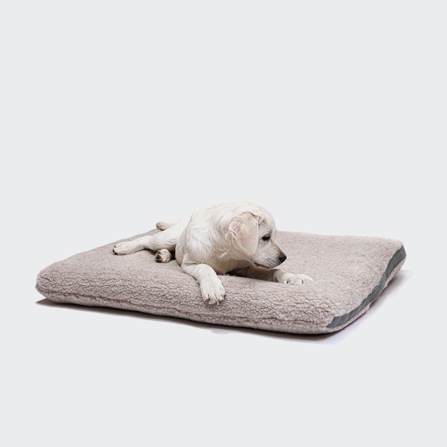 cloud7-siesta-teddy-hundebett-design-hundematratze-mit-griff image 1