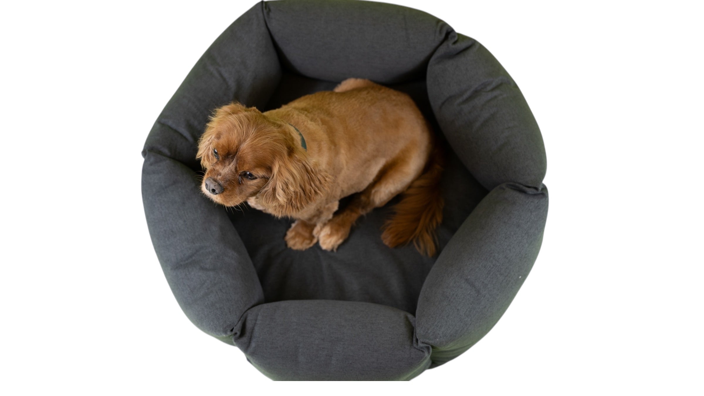 molly-and-stitch-the-nest-hundebett-shadow-grey image 5