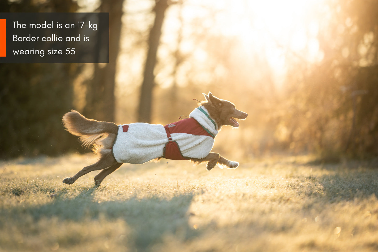 non-stop-dogwear-trekking-fleece-dog-jacket-hundemantel-fleece image 4