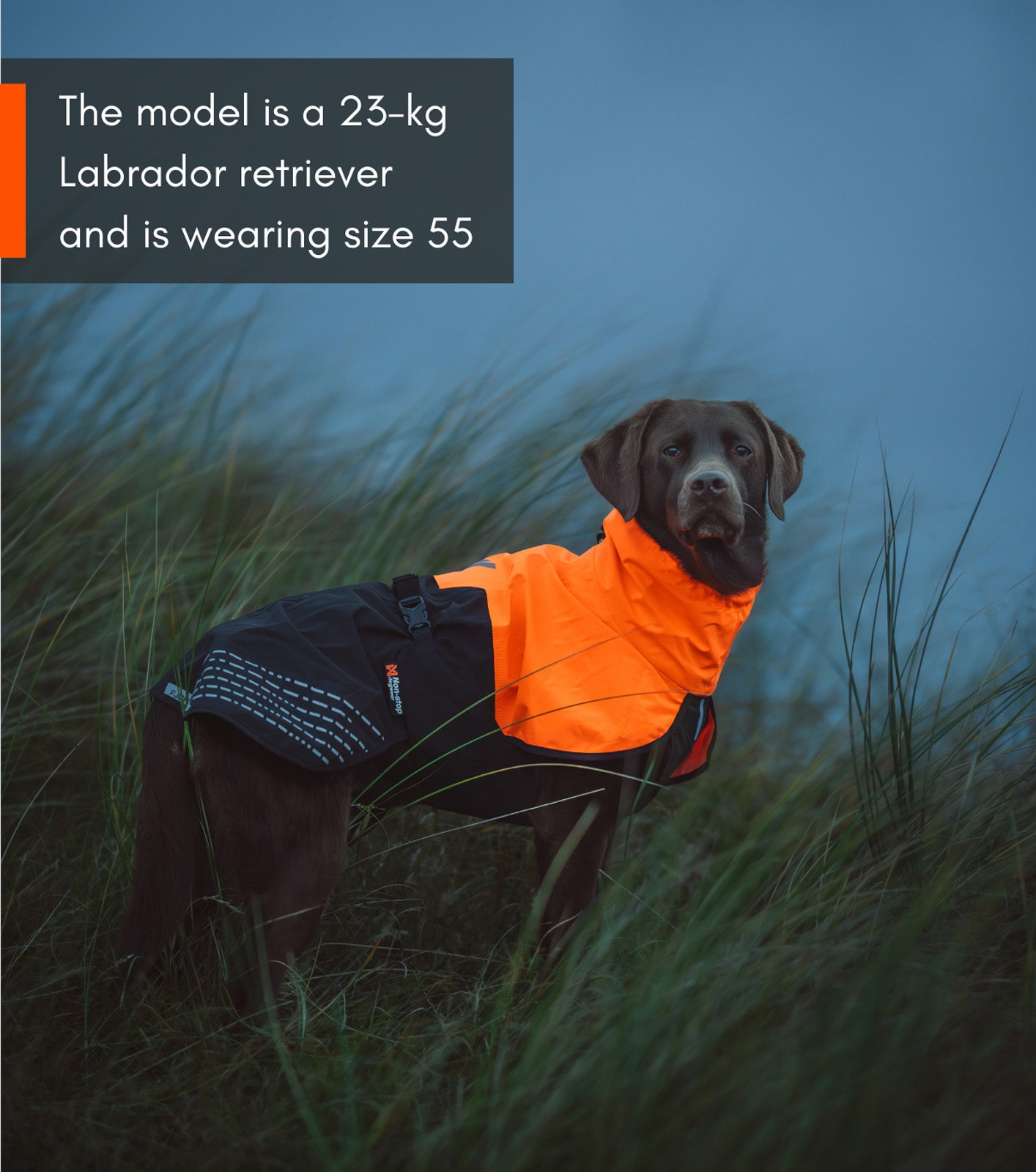 non-stop-dogwear-fjord-raincoat-hunderegenmantel image 7