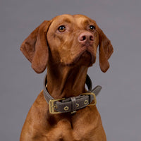 william-walker-luxe-glattleder-hundehalsband-pebble-taupe image 5