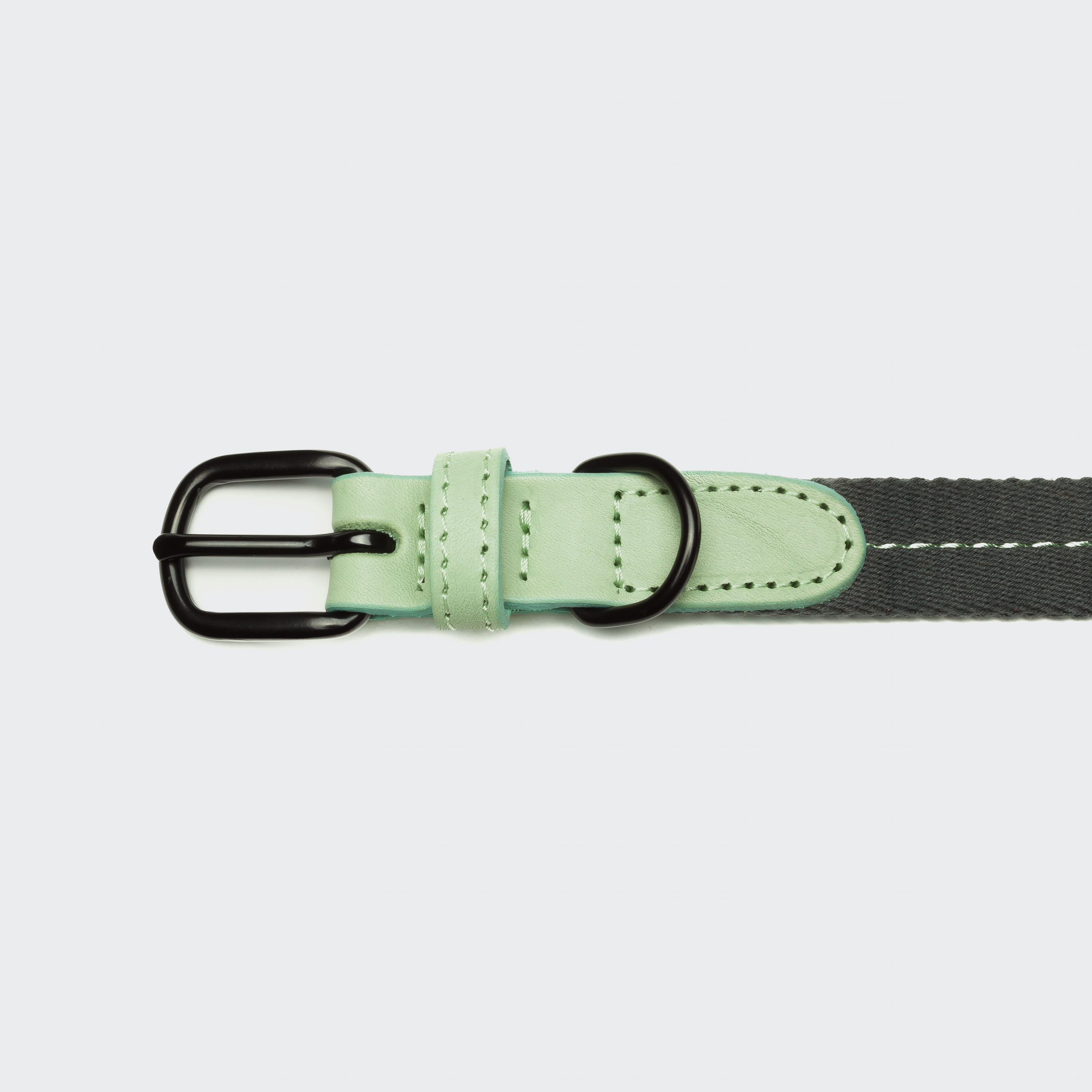 cloud7-madeira-hundehalsband-mint image 3