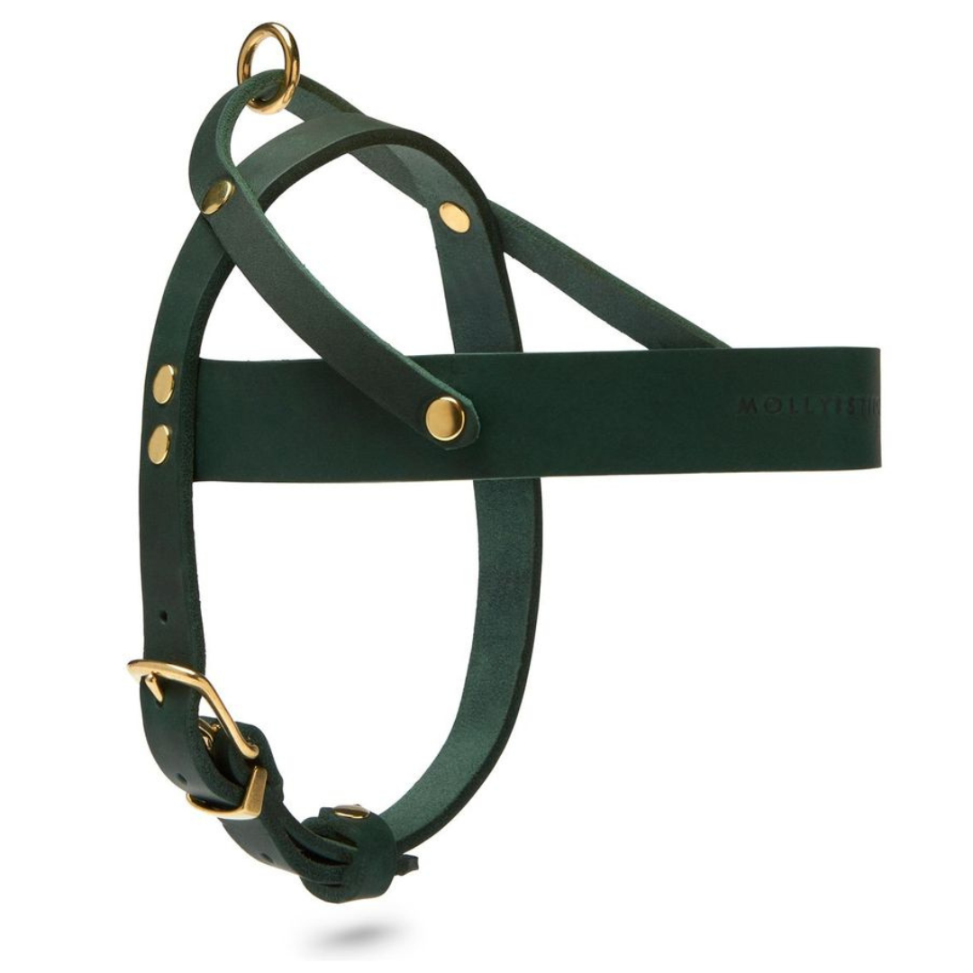 molly-and-stitch-butter-leather-hundegeschirr-forest-green image 3