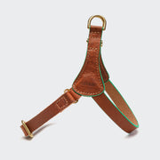cloud7-prince-park-leder-brustgeschirr-cognac-green-f-r-kleine-hunde image 2