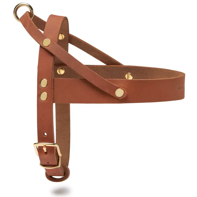 molly-and-stitch-butter-leather-hundegeschirr-sahara-cognac image 1