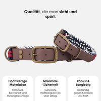 william-walker-paracord-biothane-hundehalsband-royal image 2