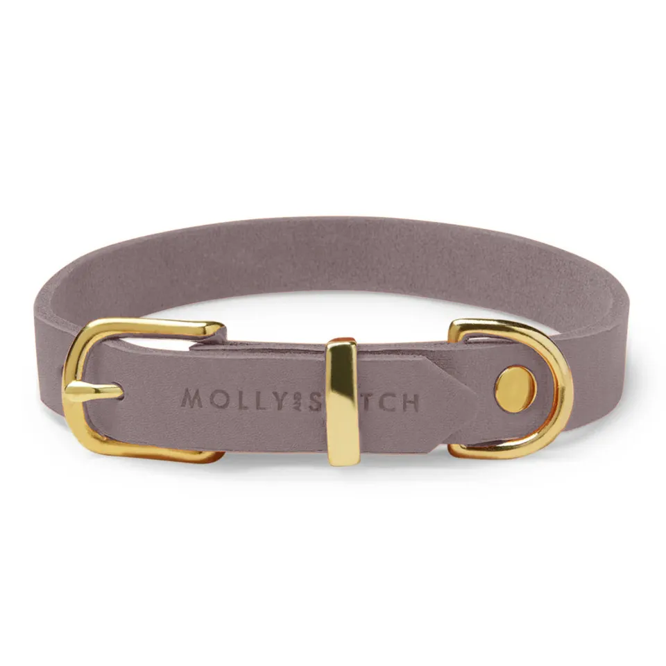 molly-and-stitch-butter-leather-hundehalsband-taupe image 1