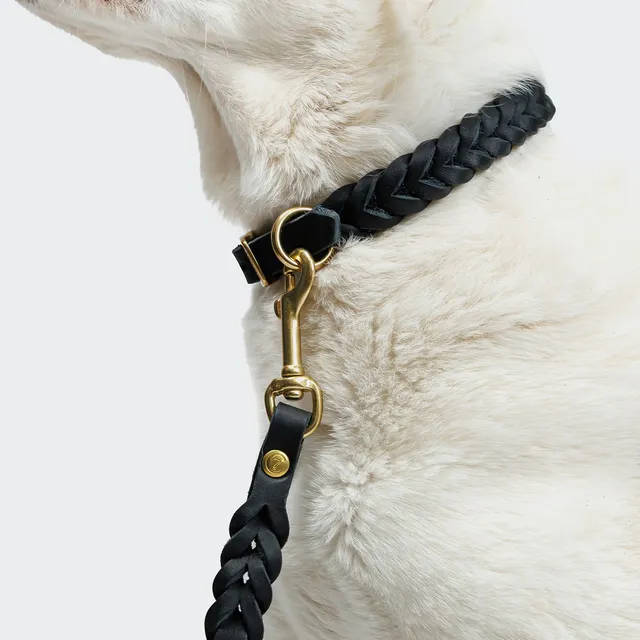 cloud7-riverside-park-hundeleine-fettleder-black-gold-2-25-m image 1