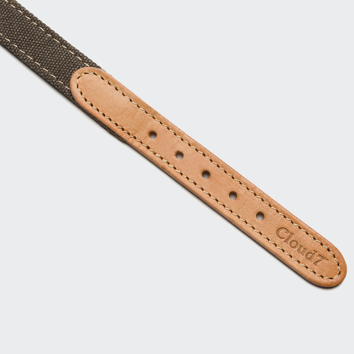 cloud7-tivoli-hundehalsband-greige image 3
