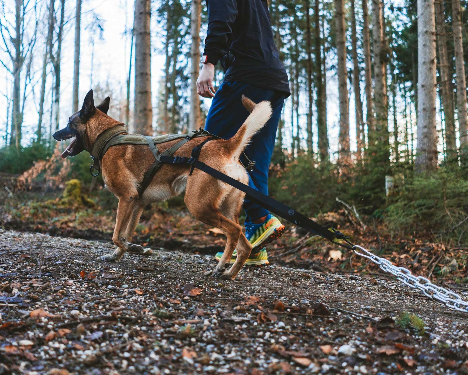 non-stop-dogwear-pulling-attachment-wd-zubeh-r-f-r-das-freemotion-harness-wd image 2