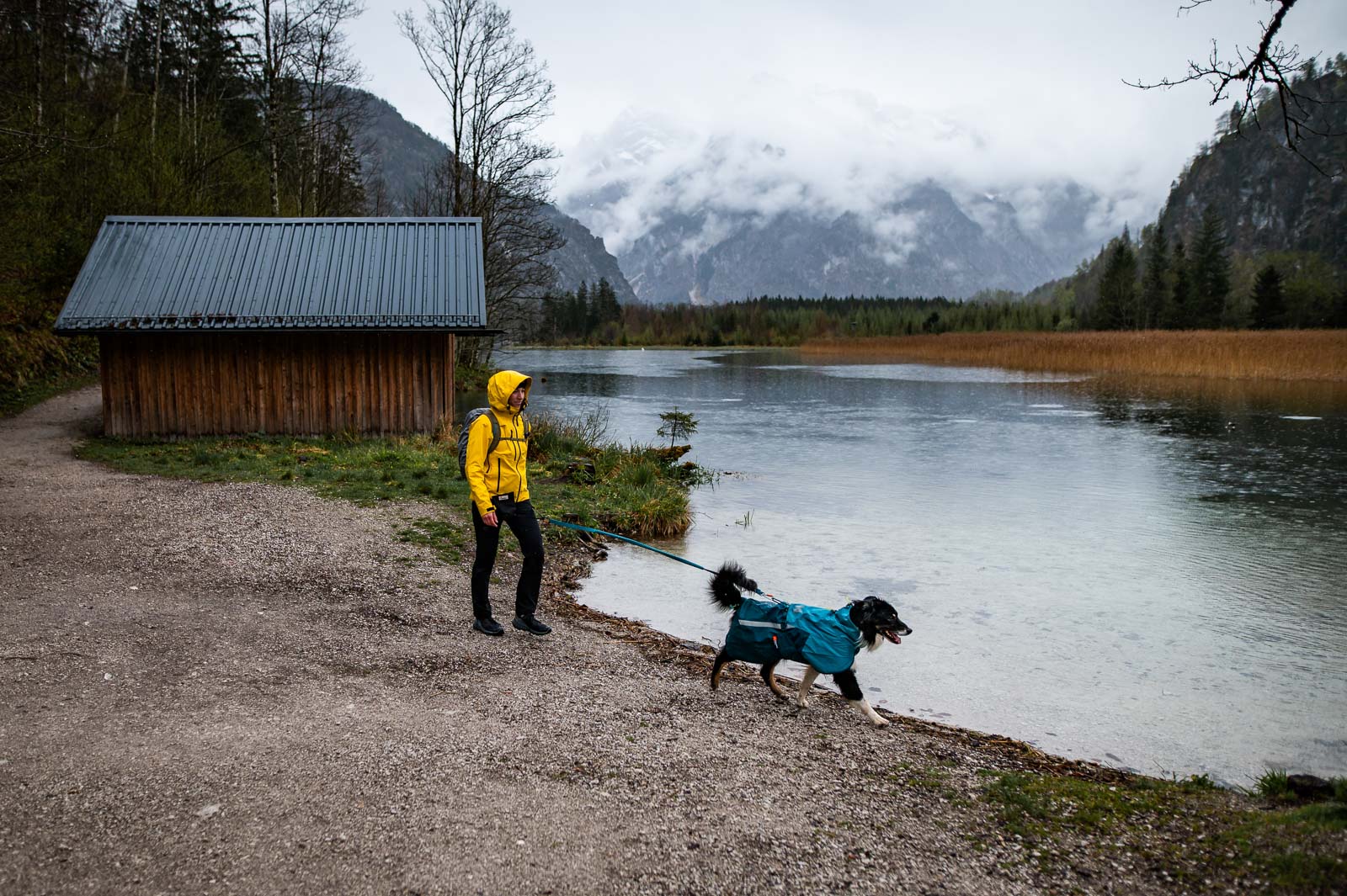 non-stop-dogwear-fjord-raincoat-2-0-wind-und-wasserdichte-hunderegenjacke-20-000 image 8