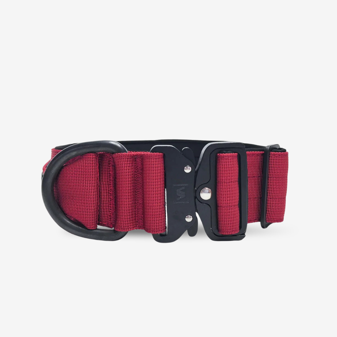 vitomalia-extreme-edition-hundehalsband-bordeaux-sicherheitsverschluss-magnet-ha image 5