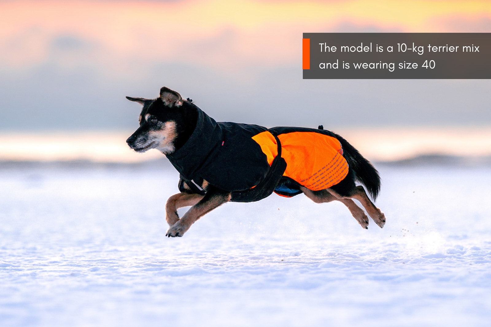 non-stop-dogwear-glacier-jacket-2-0-winterjacke-f-r-hunde image 5