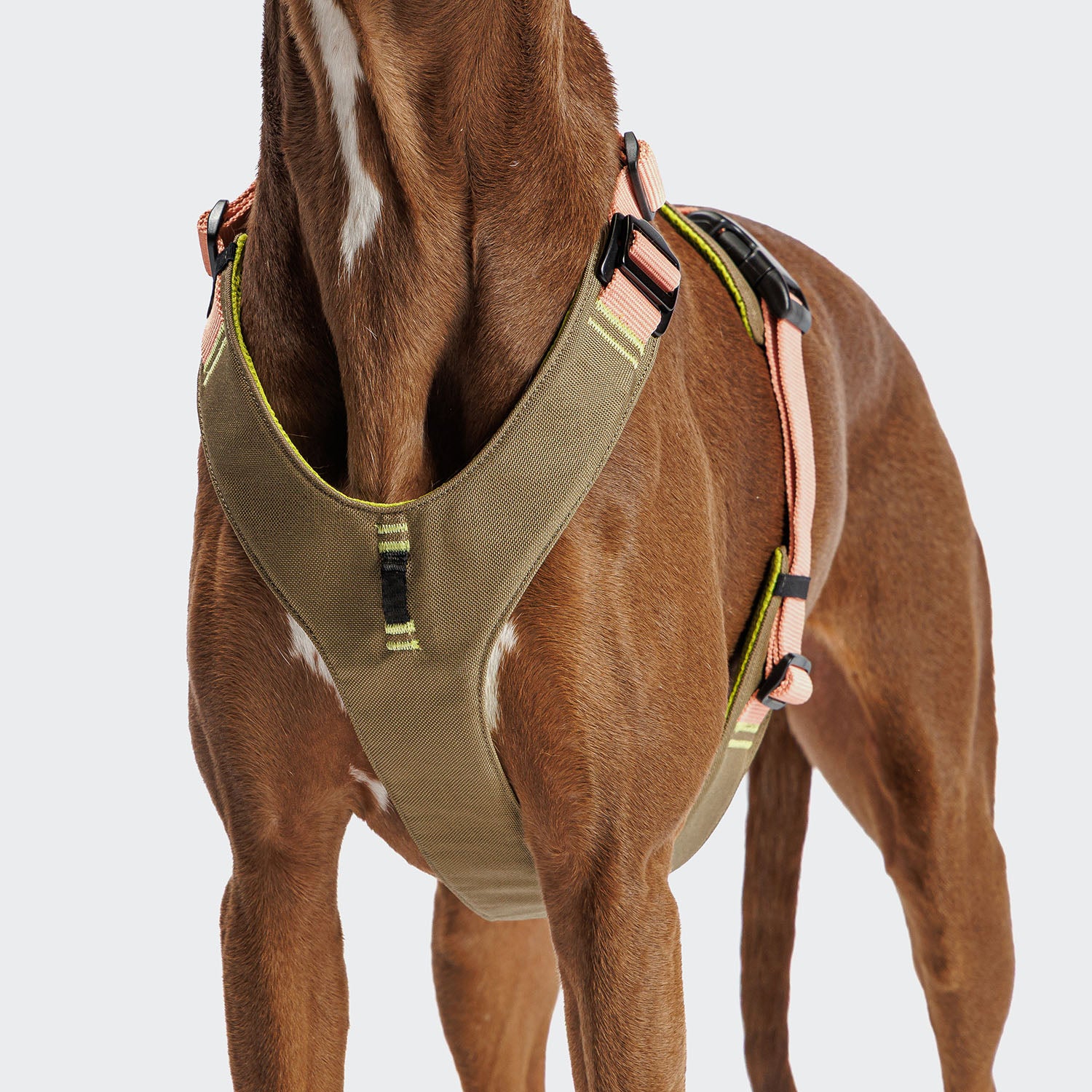 cloud7-y-2-aktiv-geschirr-cordura-peach image 3