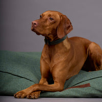 william-walker-chill-orthop-disches-hundekissen-dark-moss-dunkelgr-n image 6