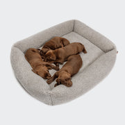 cloud7-sleepy-deluxe-teddy-hundebett-mit-mehrkammersystem image 7
