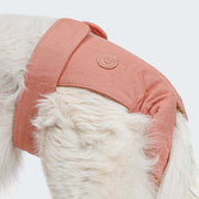 cloud7-f-hr-l-ufigkeitshose-rose-hundehose-aus-baumwolle image 3
