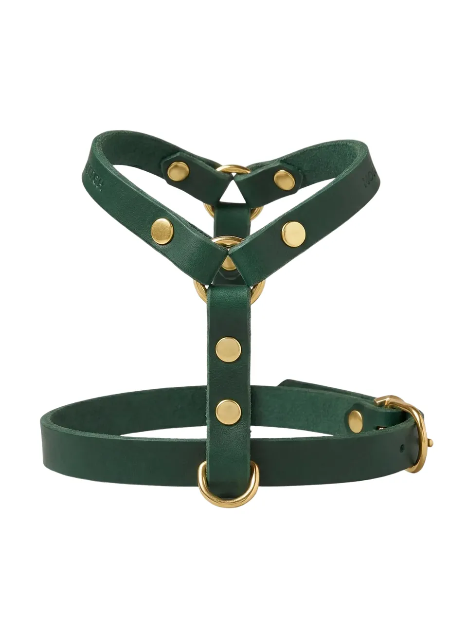 molly-and-stitch-butter-leather-y-geschirr-forest-green image 1