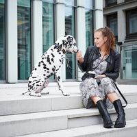 william-walker-leder-hundehalsband-noir-schwarz-auslaufmodell image 7