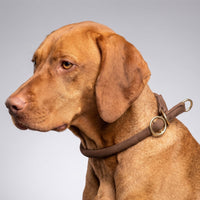 william-walker-rundes-zugstopp-halsband-aus-leder-hundehalsband image 8