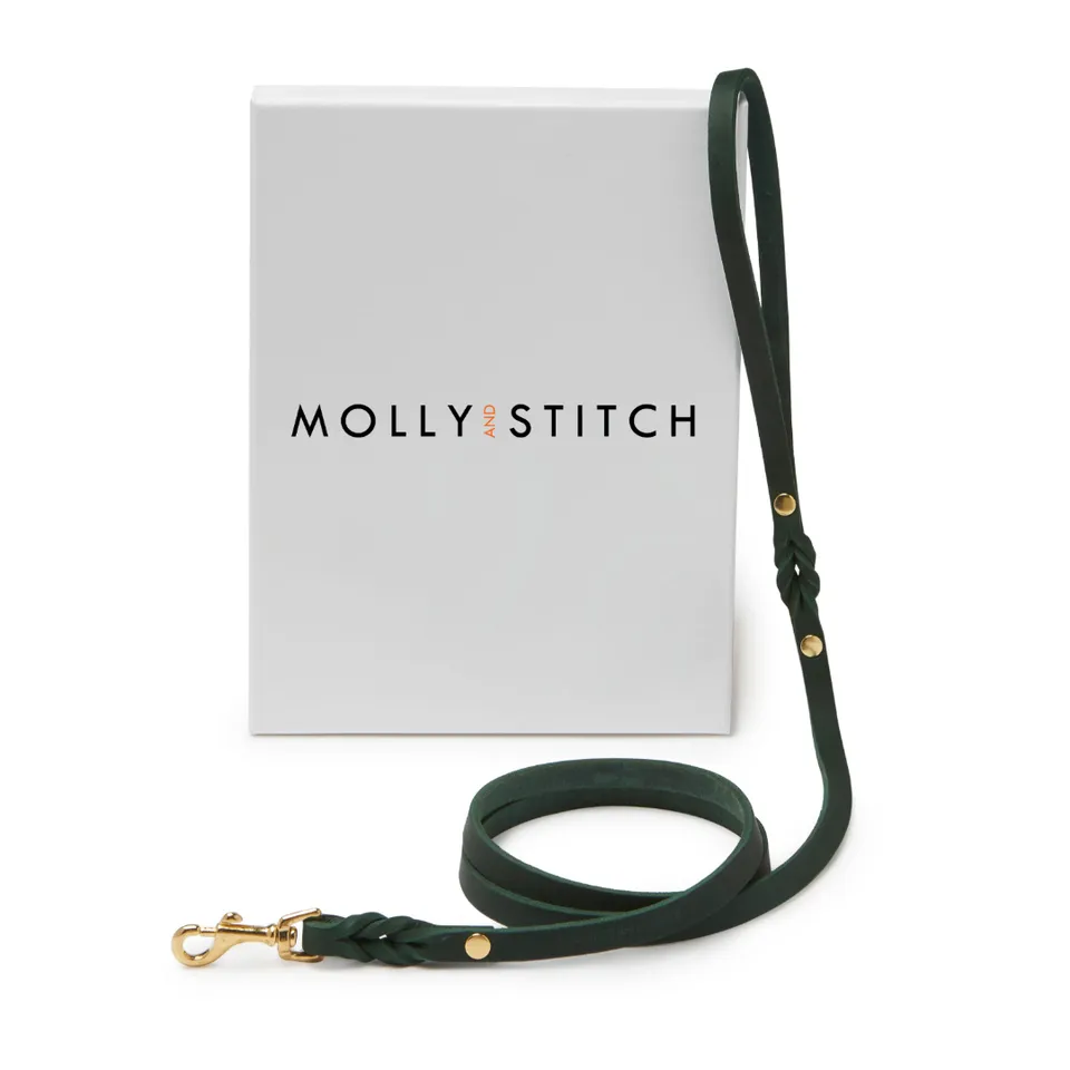 molly-and-stitch-butter-leather-city-hundeleine-forest-green-140-cm image 1