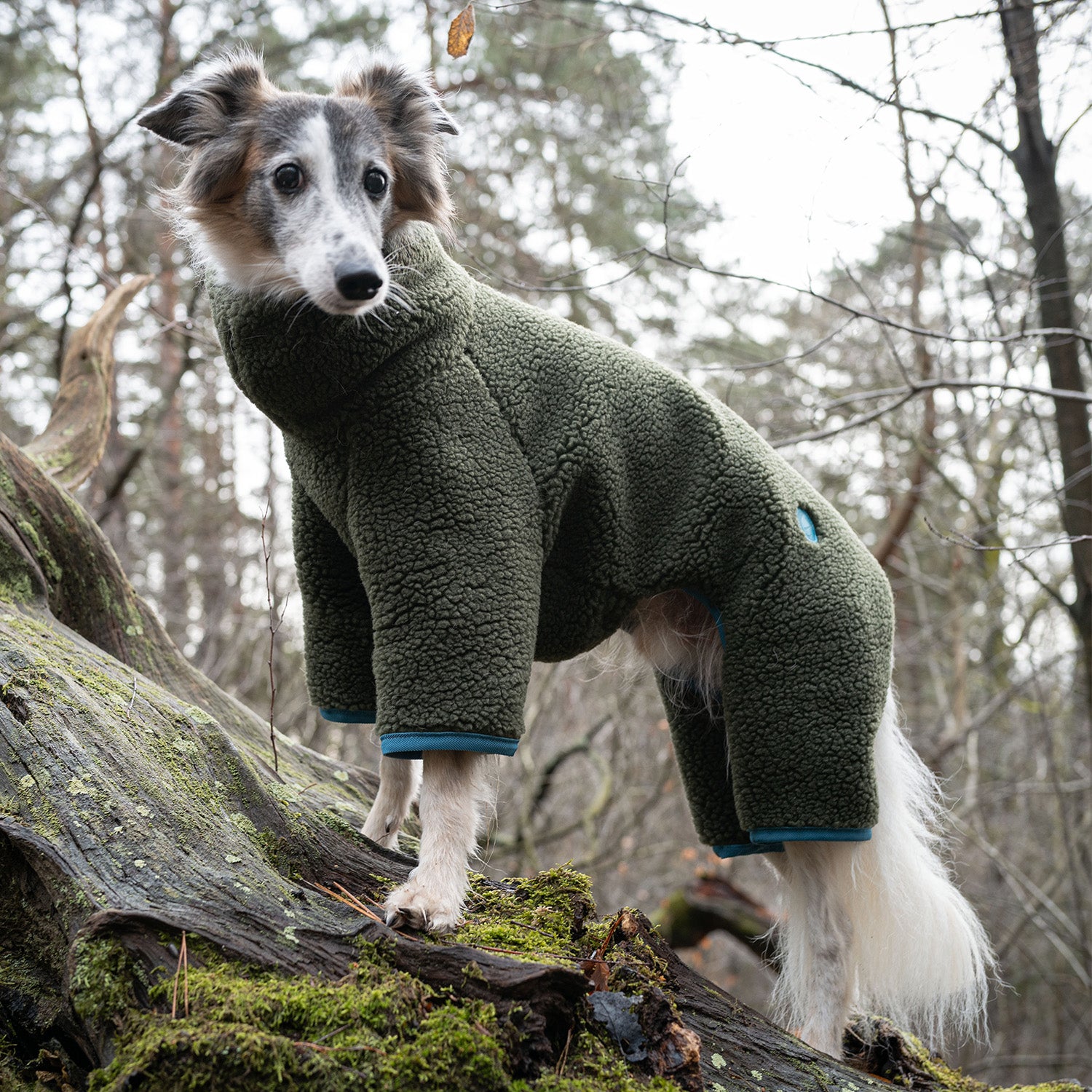 cloud7-cornwall-teddy-olive-windhundpullover image 2