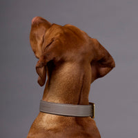 william-walker-luxe-glattleder-hundehalsband-pebble-taupe image 6