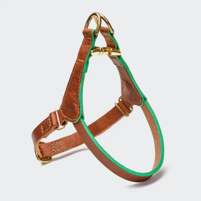 cloud7-prince-park-leder-norwegergeschirr-cognac-green-f-r-kleine-hunde image 1