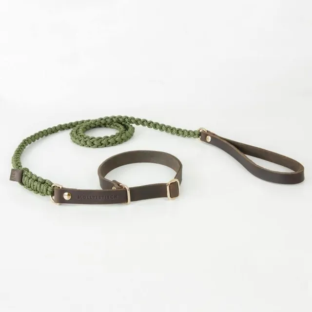 molly-and-stitch-touch-of-leather-retriever-hundeleine-military image 1
