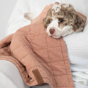 cloud7-hundedecke-lttl-dusty-rose image 7