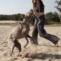 william-walker-luxe-glattleder-hundeleine-pebble-taupe image 8