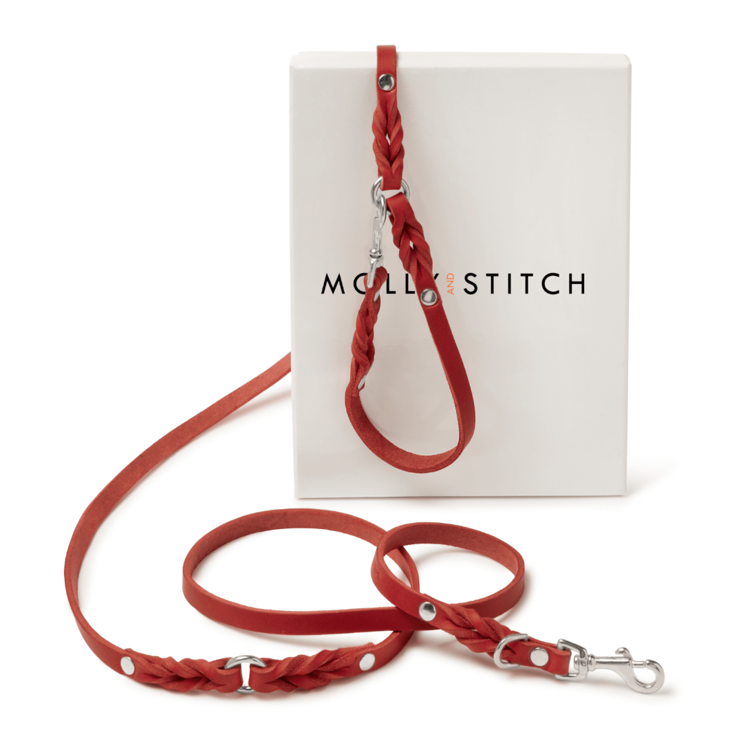 molly-and-stitch-butter-leather-hundeleine-3-fach-verstellbar-200-cm-chili-red image 3