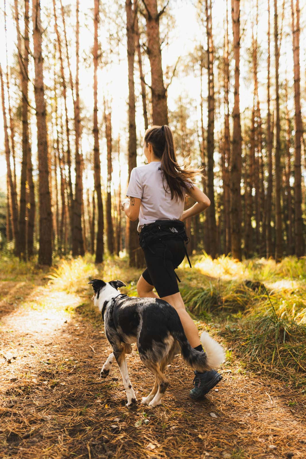 non-stop-dogwear-trail-light-belt-trailrunning-g-rtel-3l-mit-5-taschen image 3