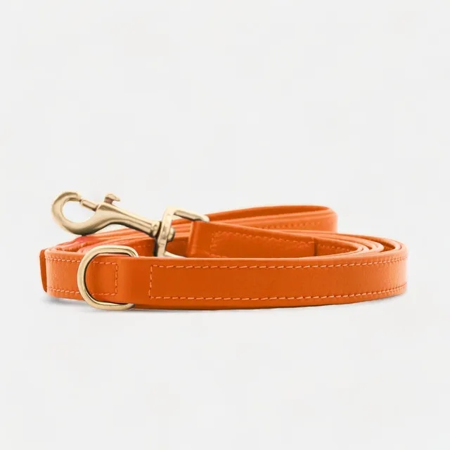 william-walker-amber-leder-hundeleine-orange-standard-klein image 1