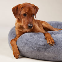 william-walker-comfy-cloud-hundebett-rund-dunkelgrau image 7