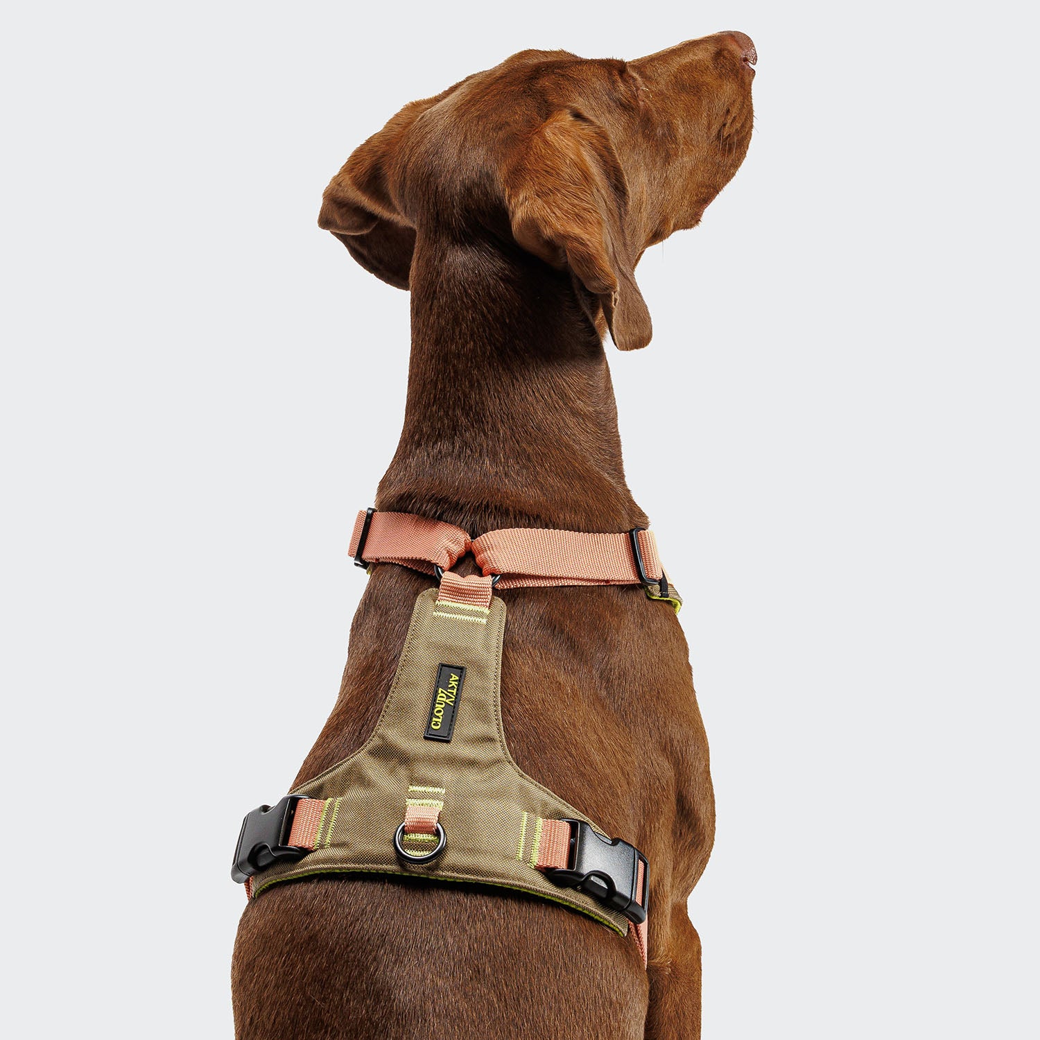 cloud7-y-2-aktiv-geschirr-cordura-peach image 1